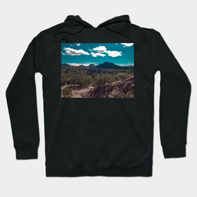 Arizona-Sonora Desert Hoodie by ayemfid